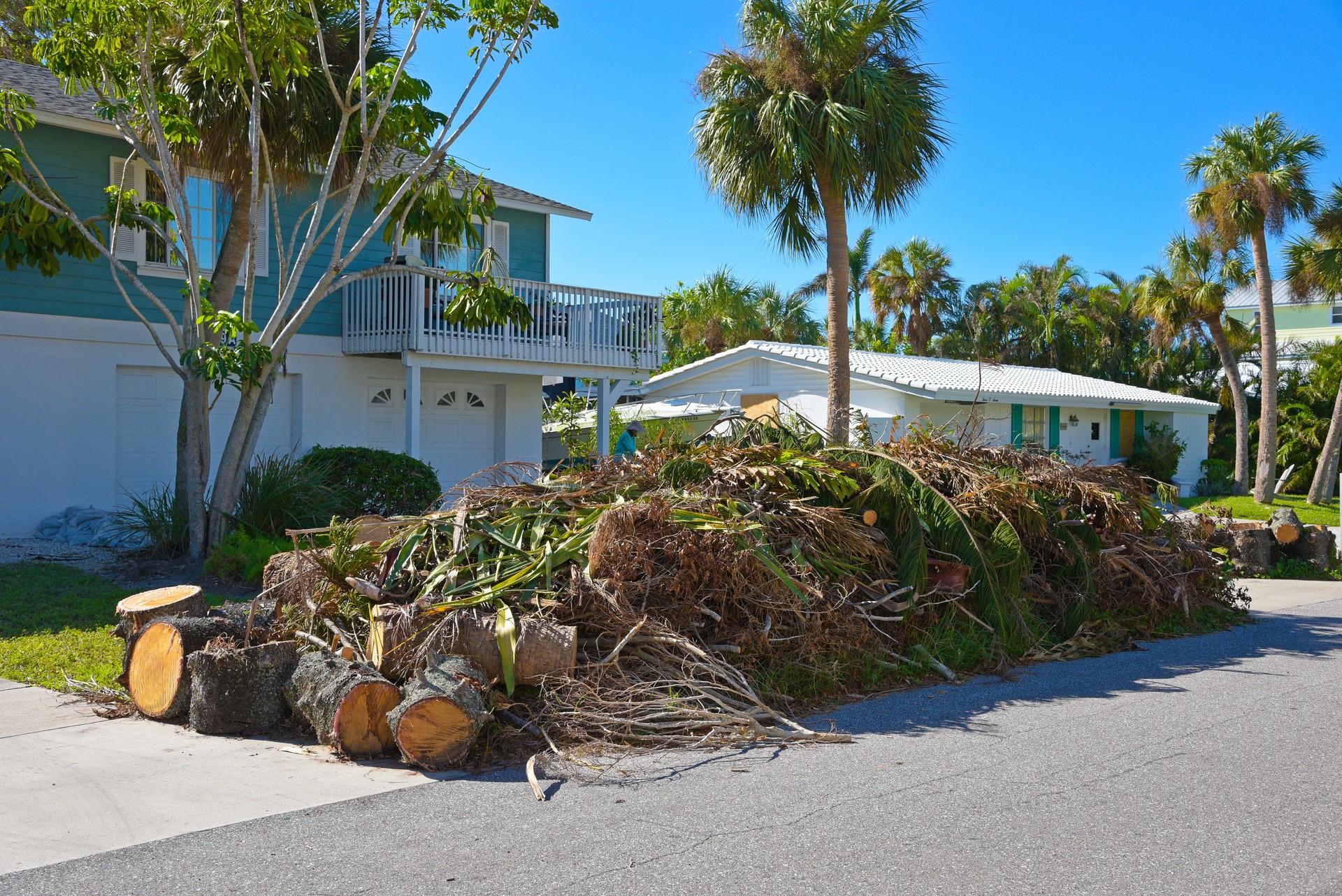 Professional arborists cutting down a large tree near a residential property in Florida, ensuring safety and efficiency.