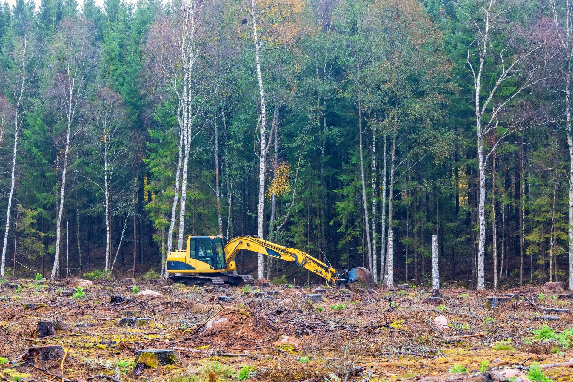 Excavator on a clearcut digging a ditch